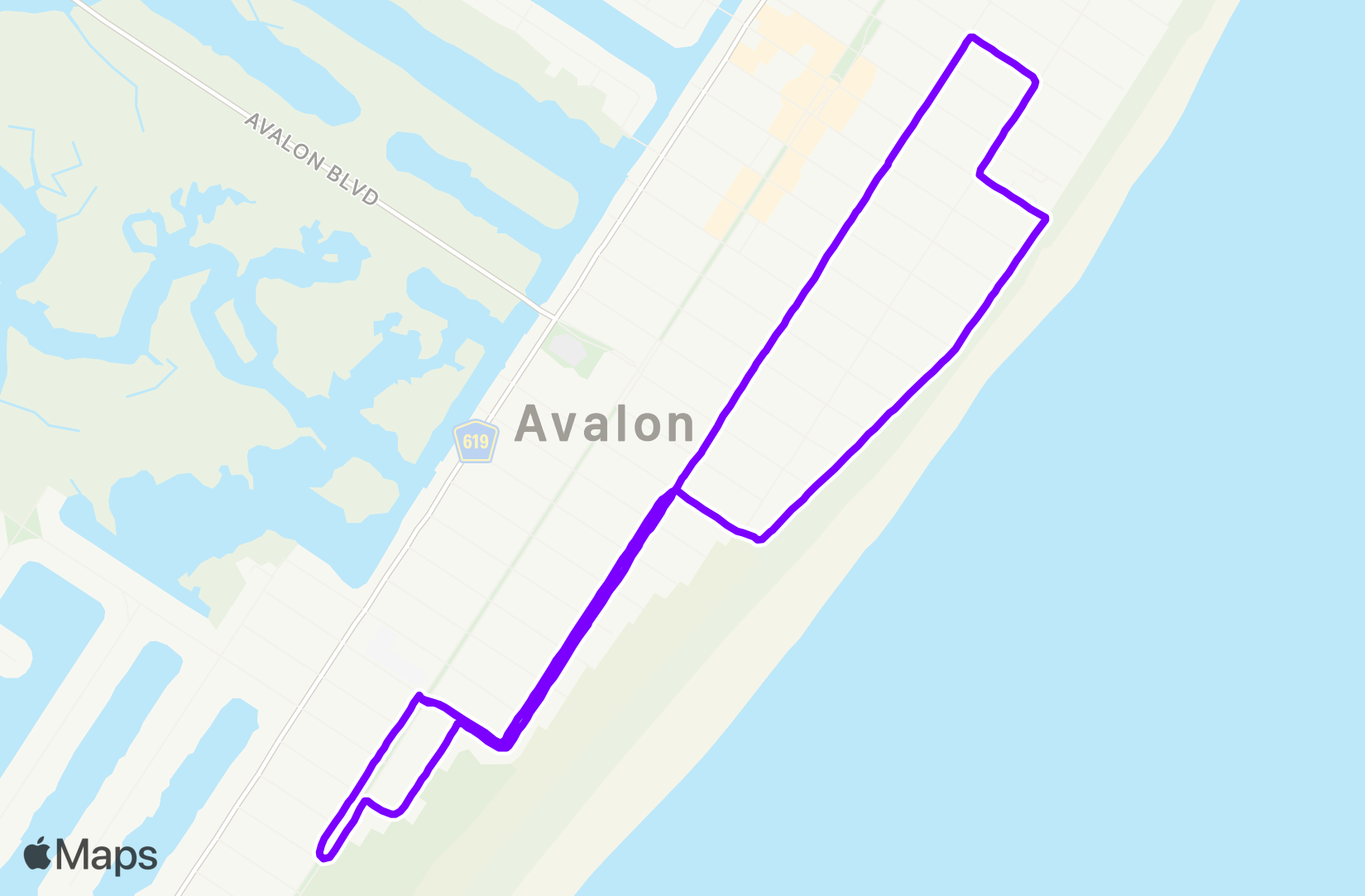 Run training