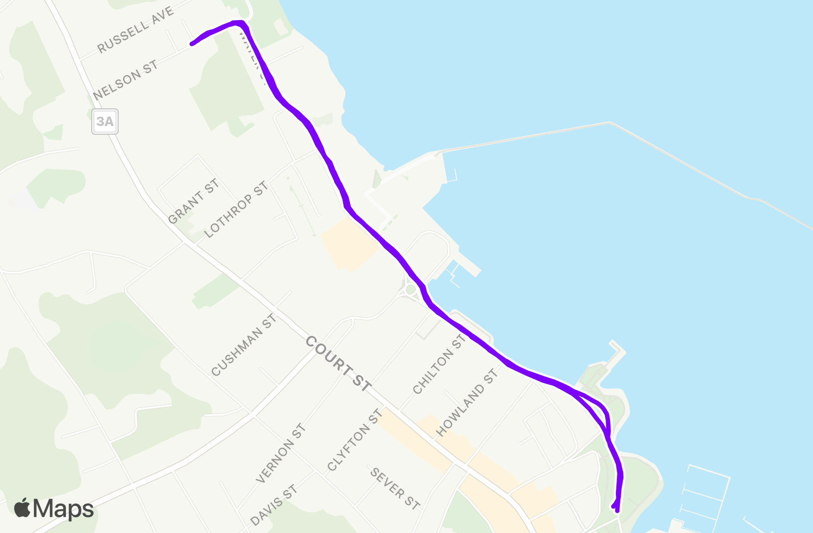 Run training