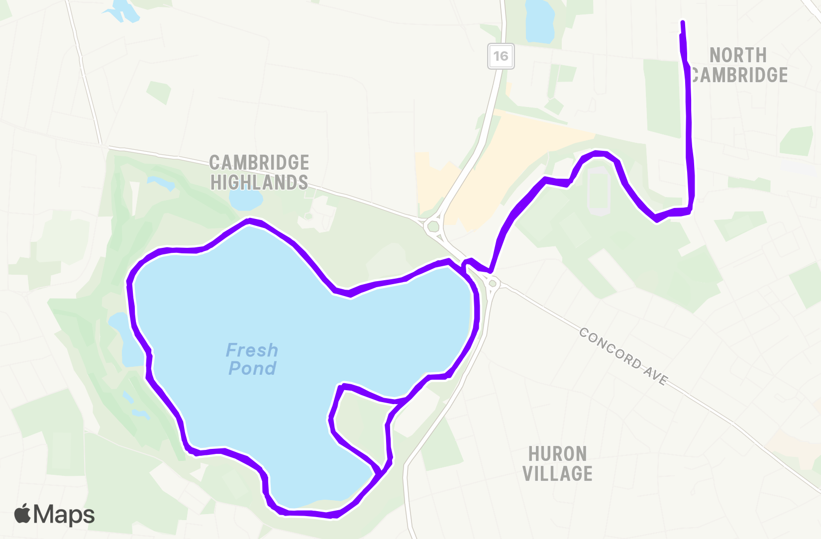 Run training