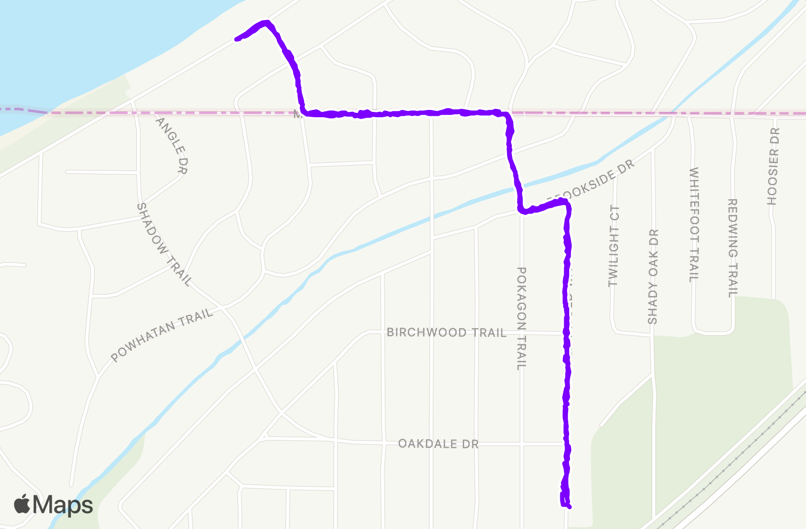 Walk training
