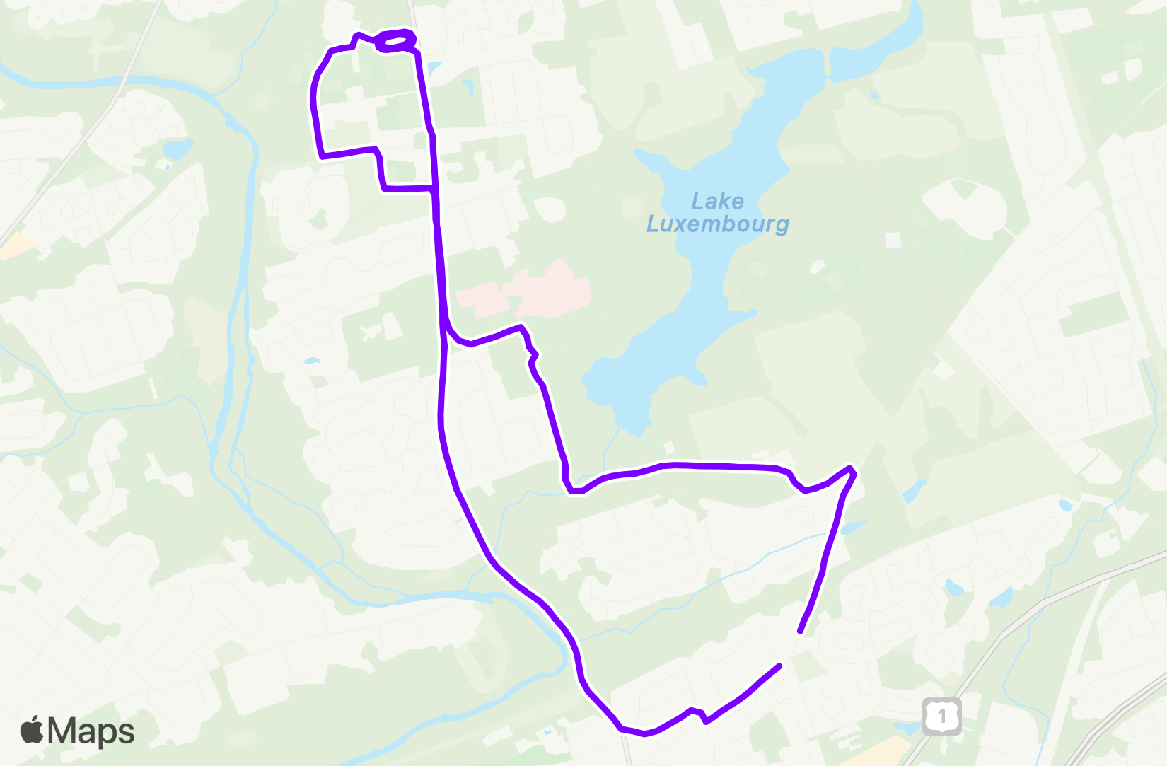 Run training