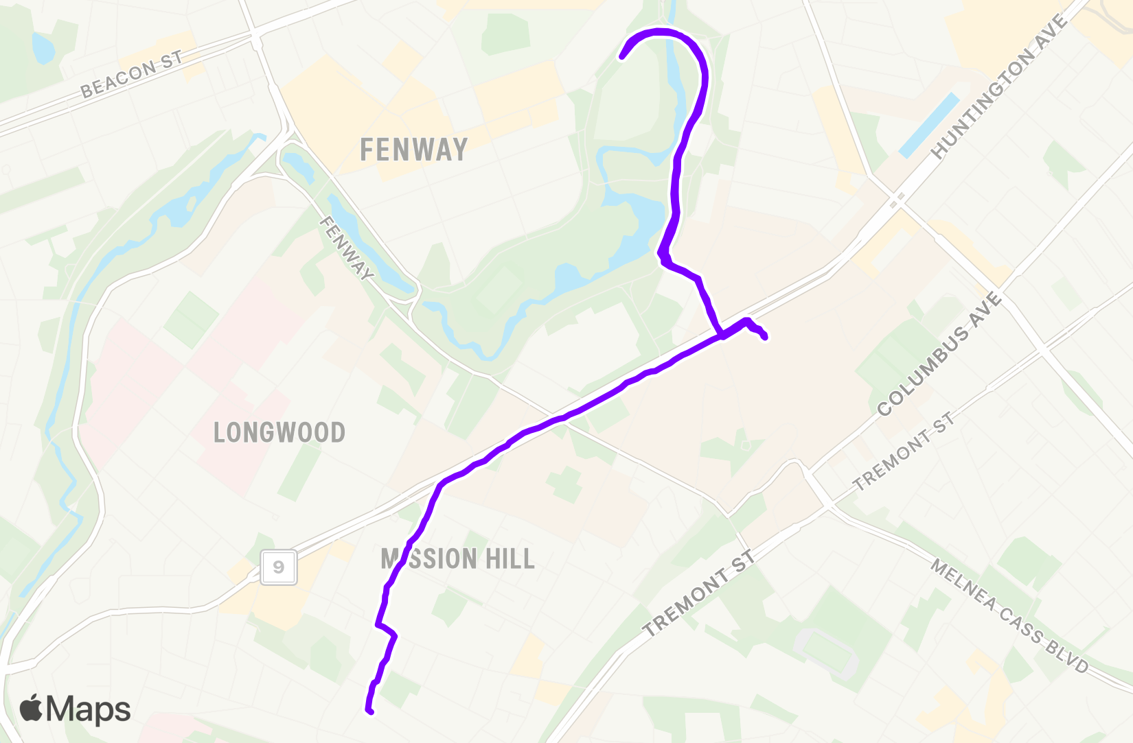 Run training