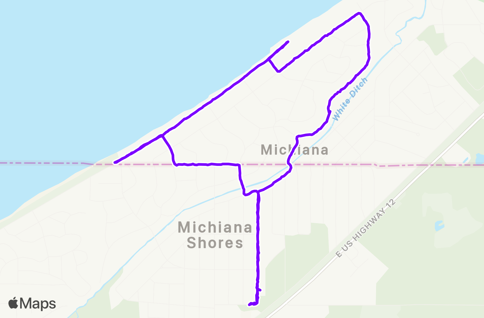 Walk training