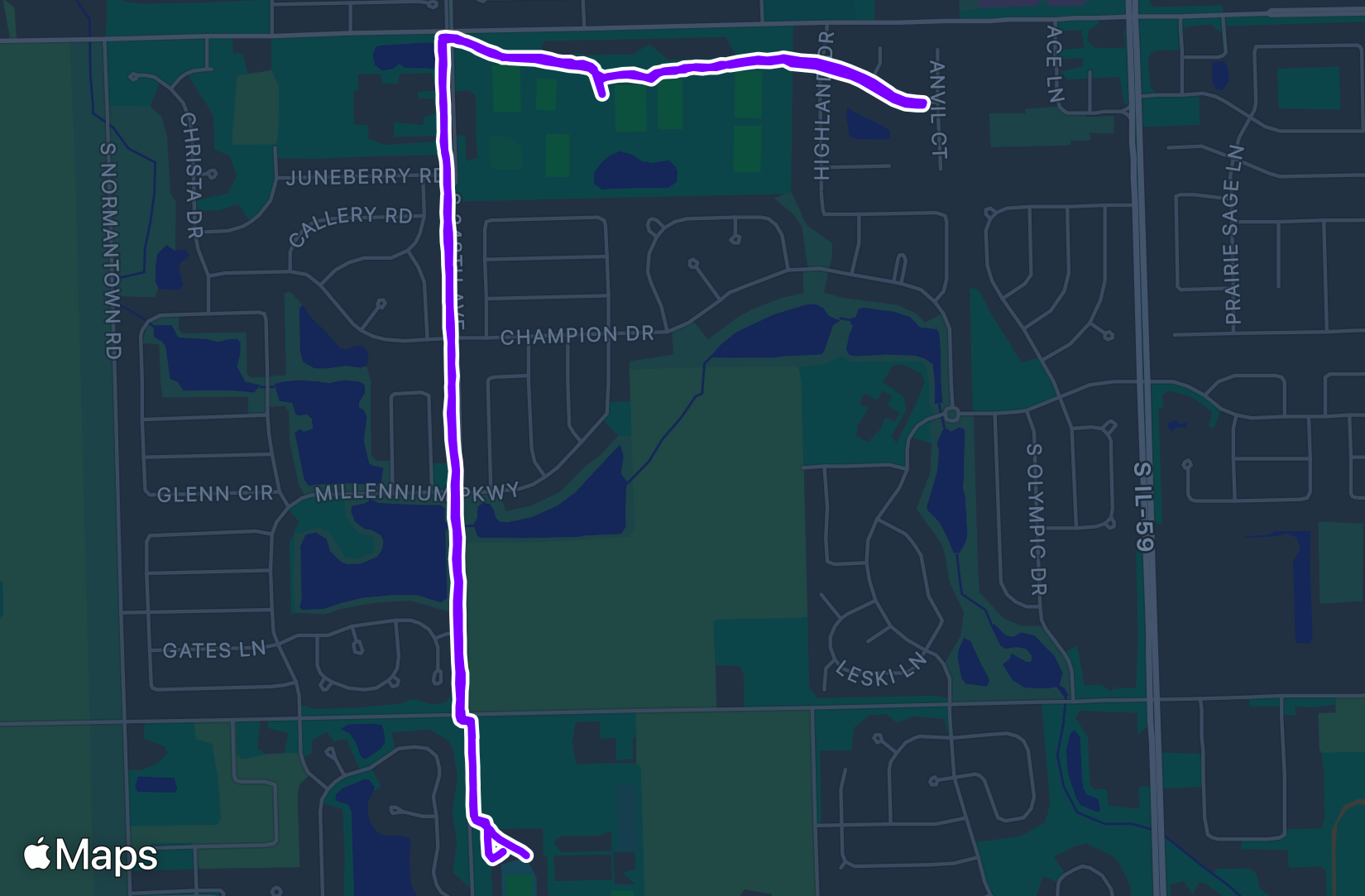 Run training