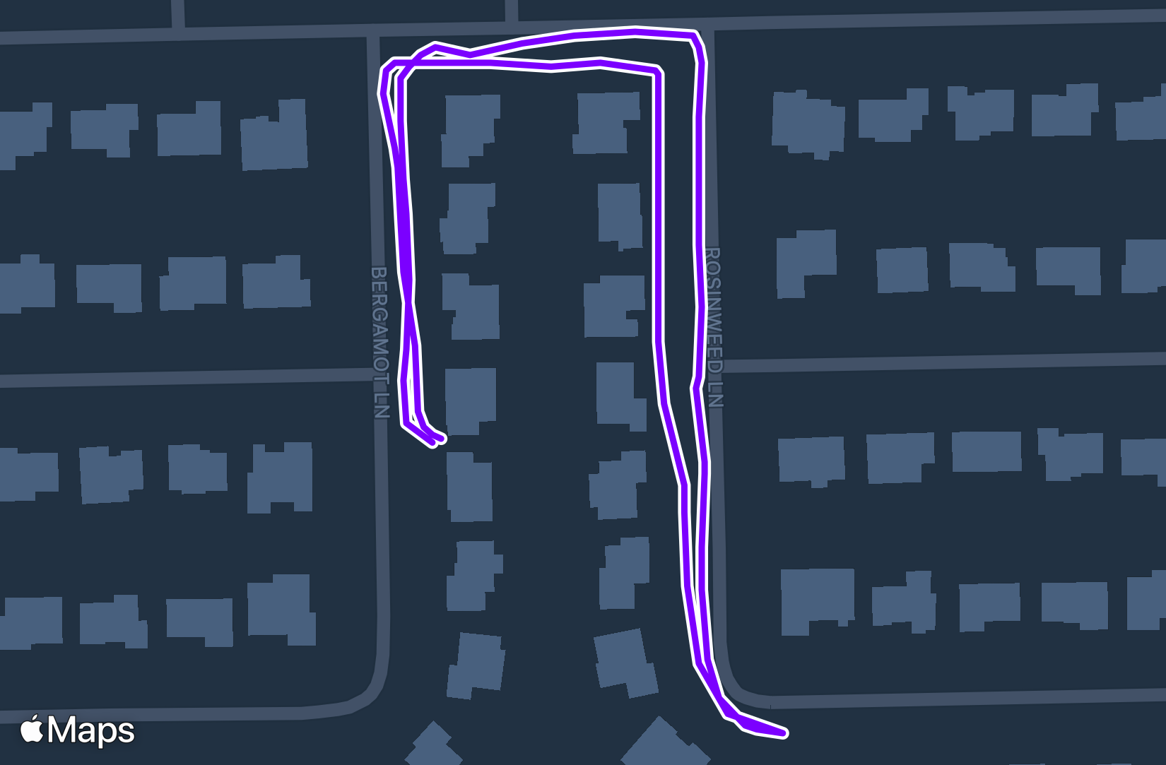 Run training