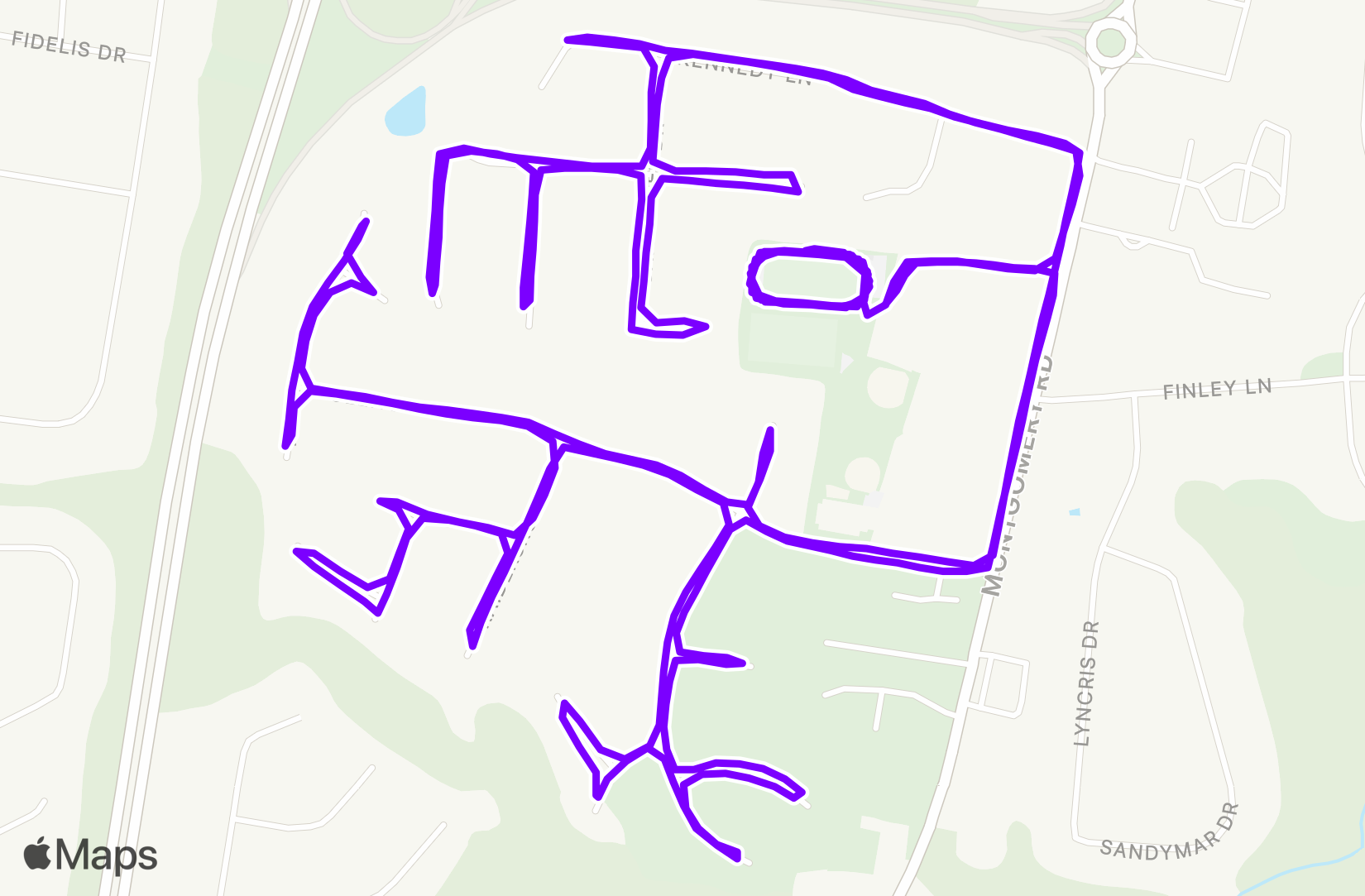 Run training