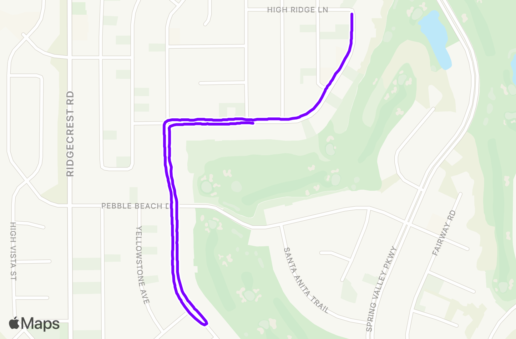 Walk training