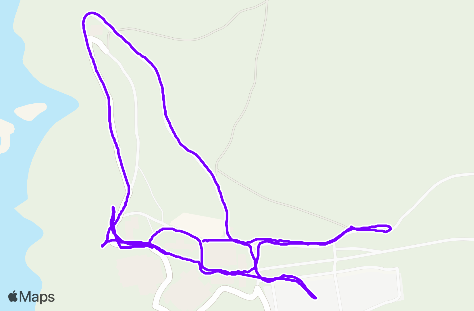 Run training