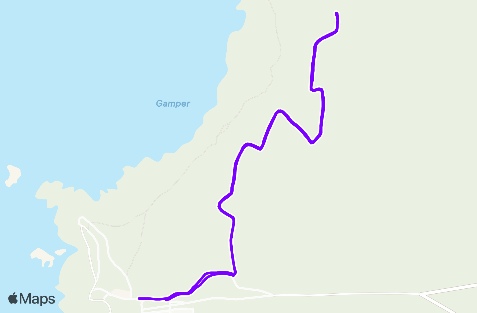 Run training