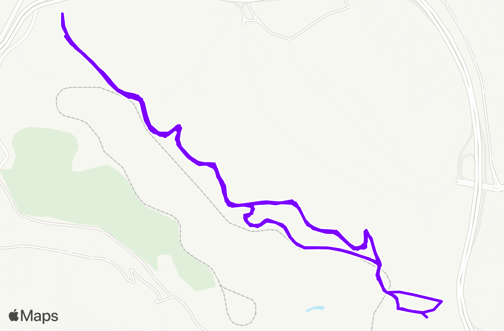 Run training