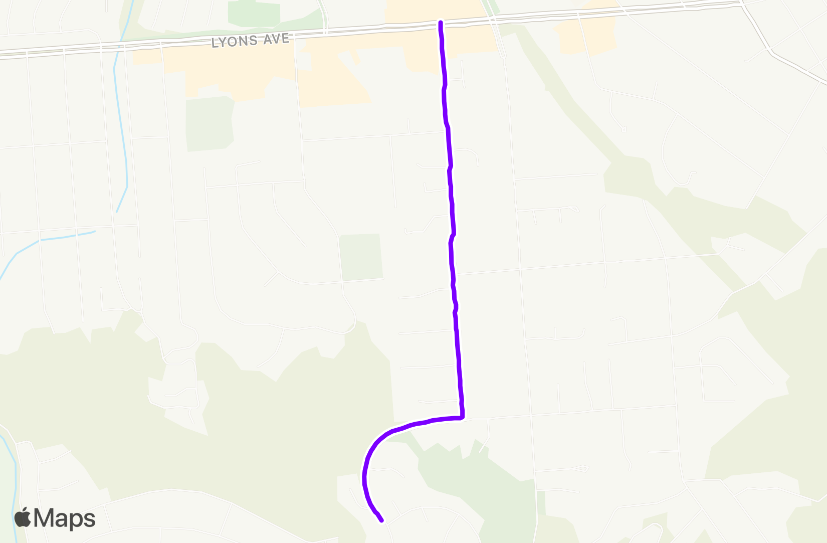 Walk training
