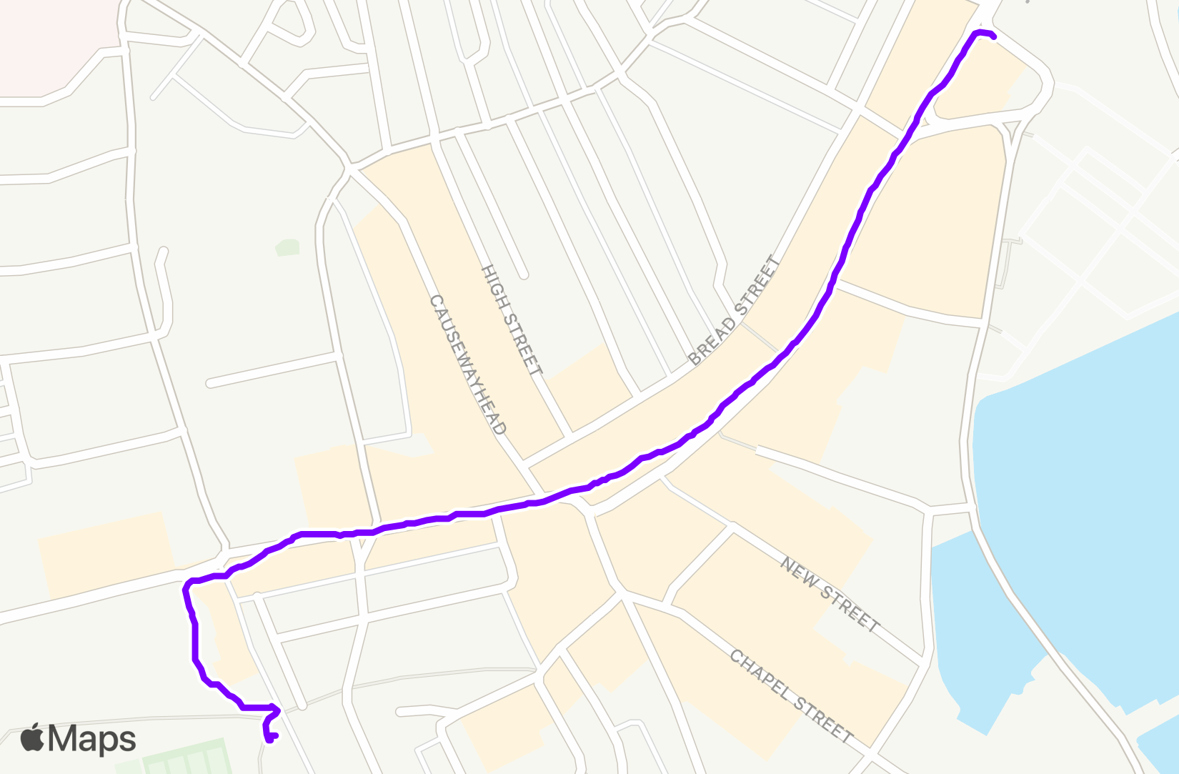 Run training