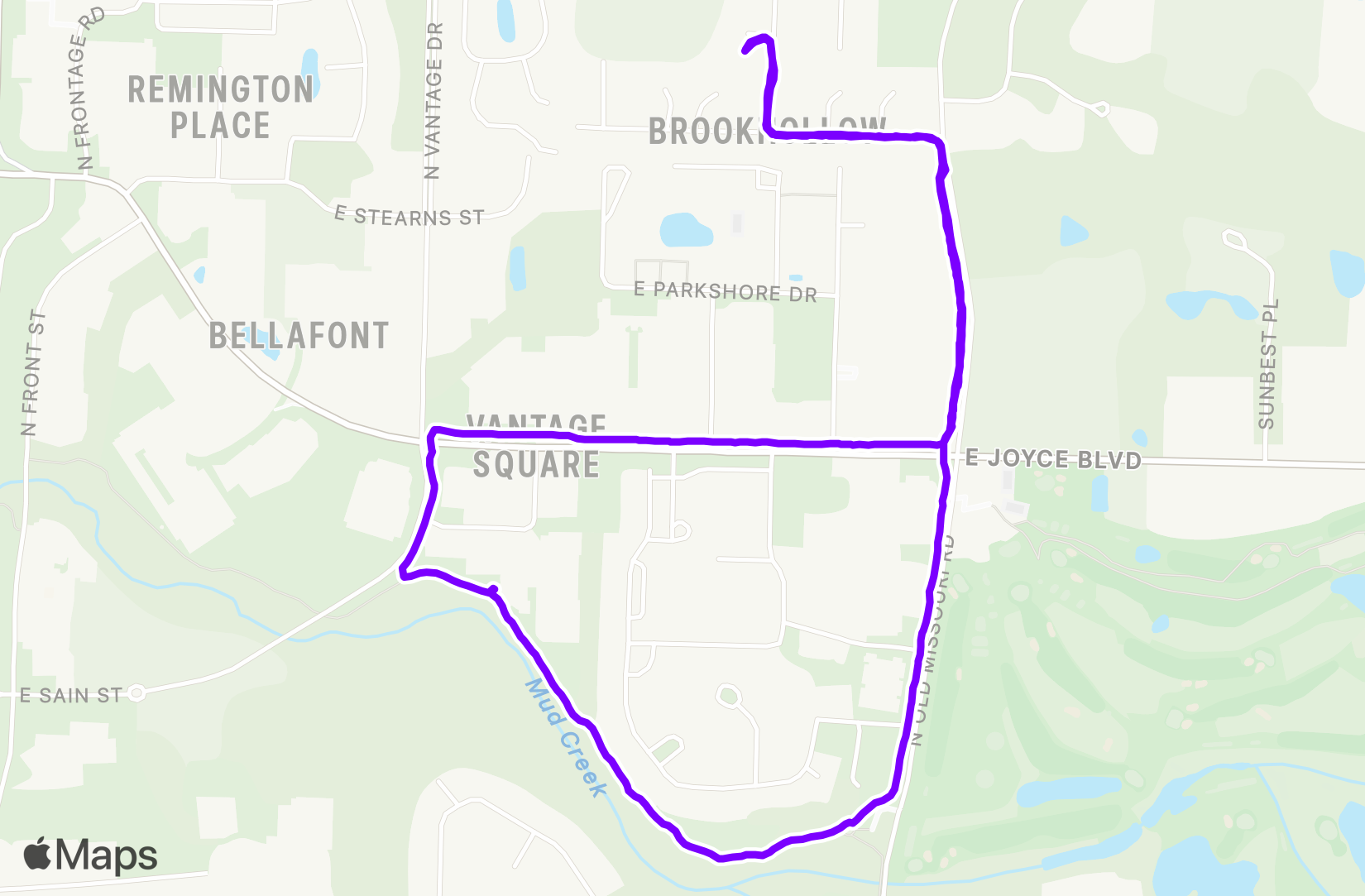 Walk training