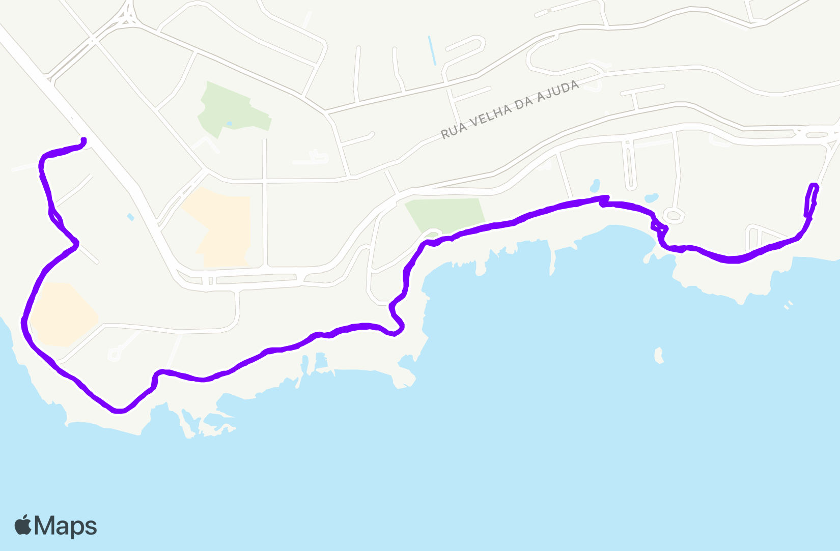 Run training
