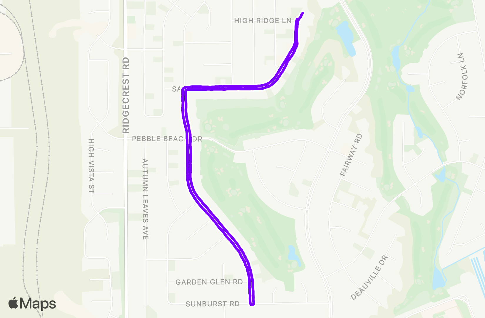 Walk training