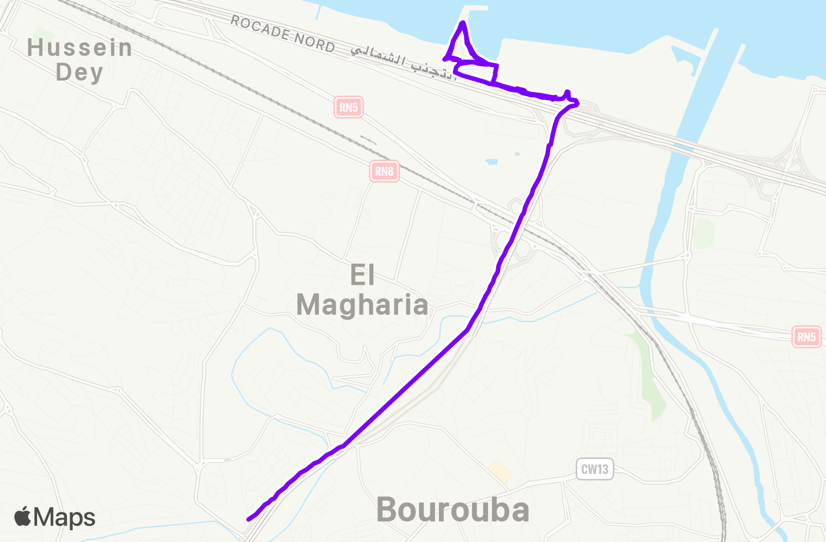 Walk training