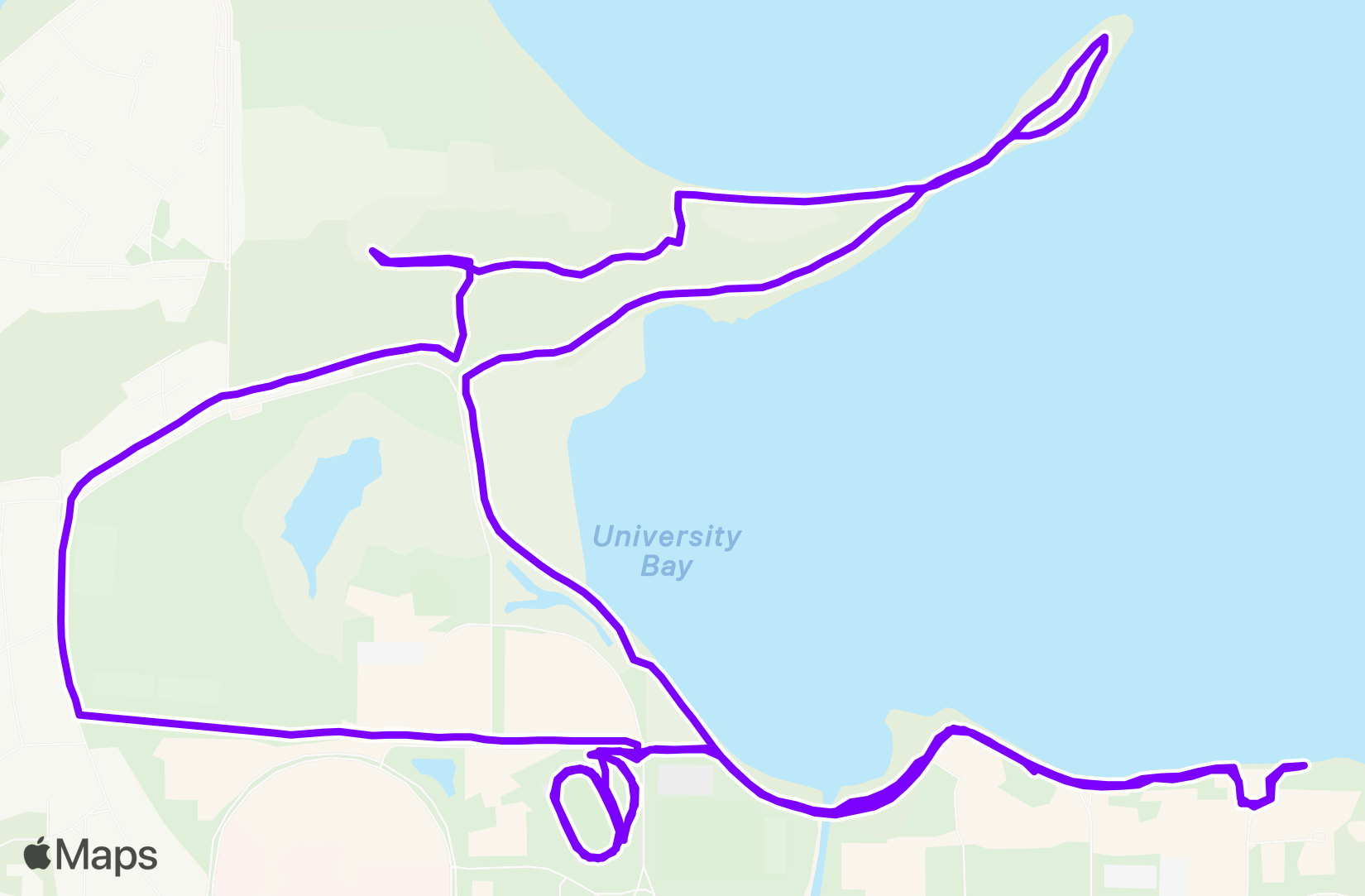 Run training