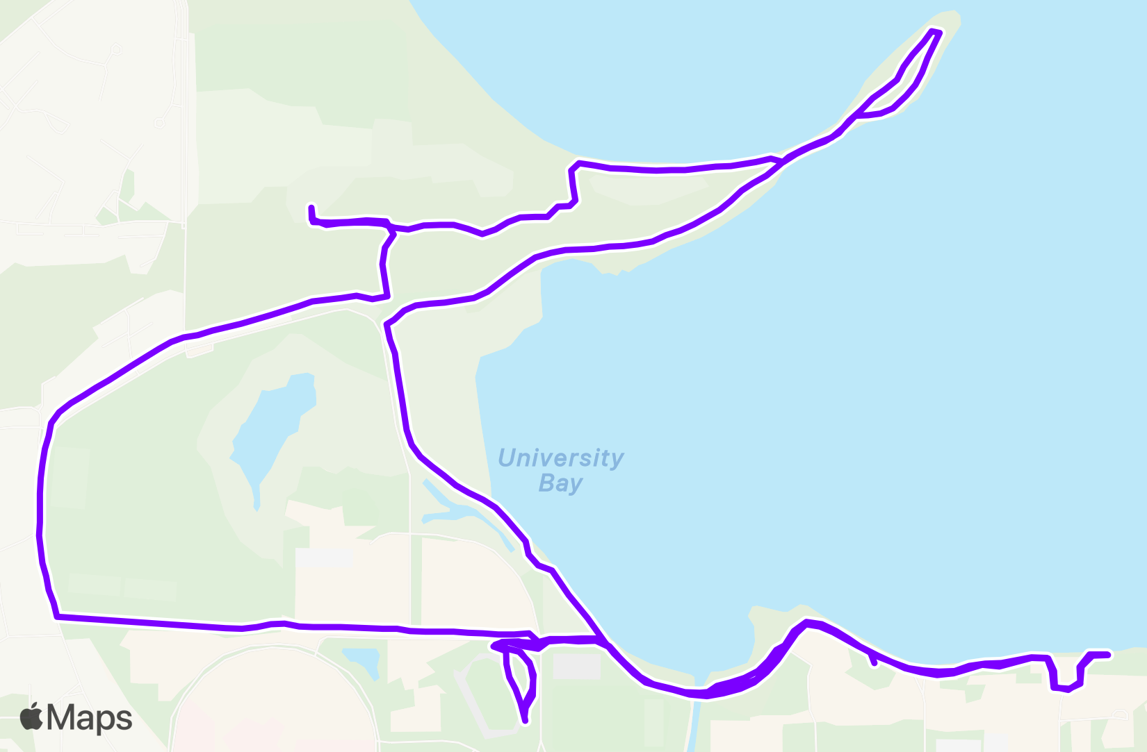Run training
