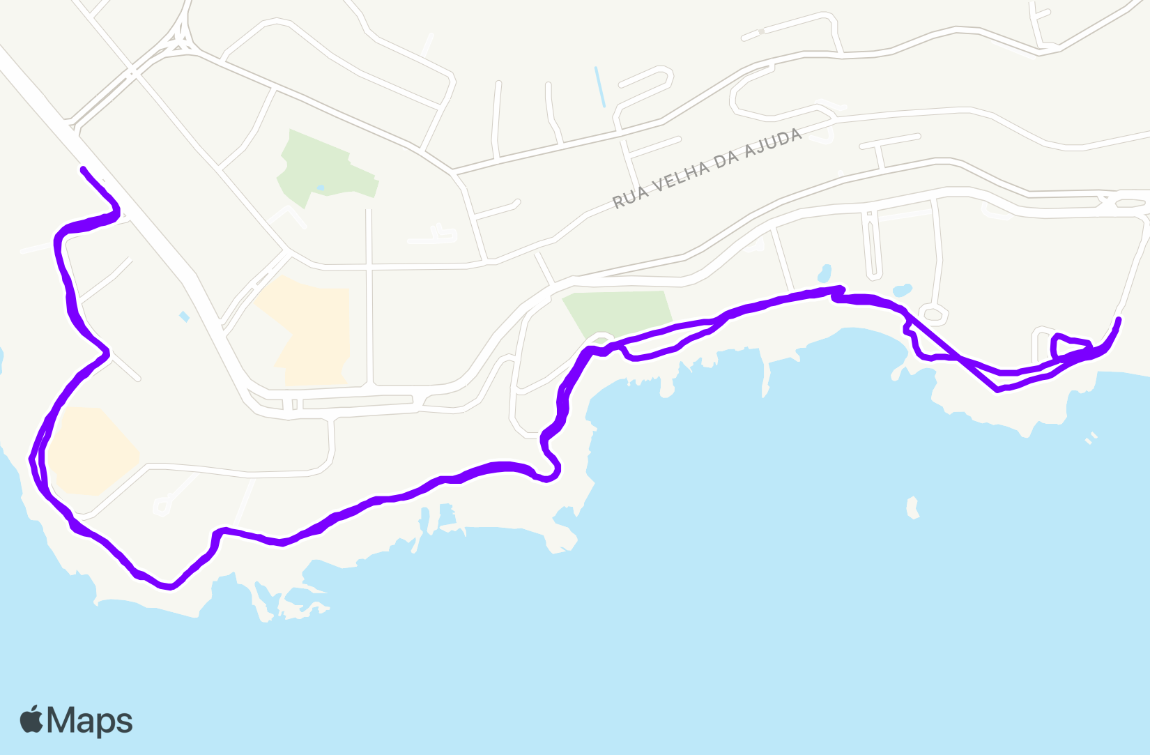 Run training