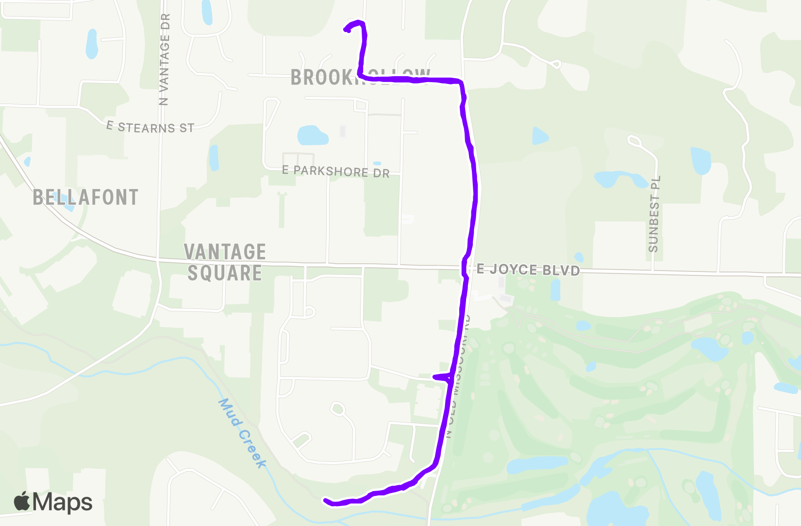 Walk training
