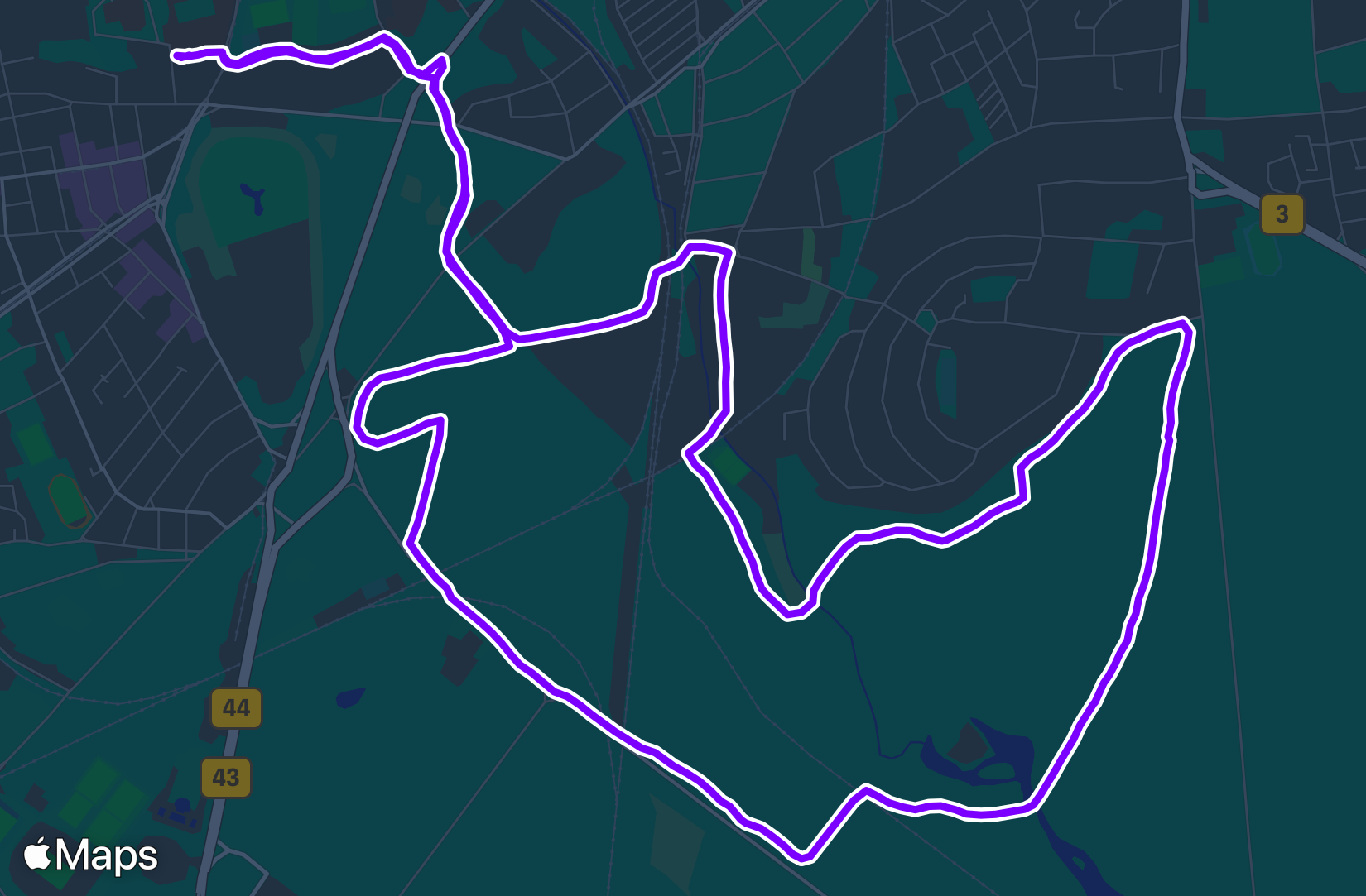 Run training