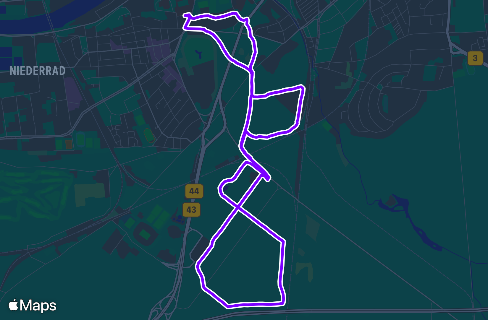 Run training