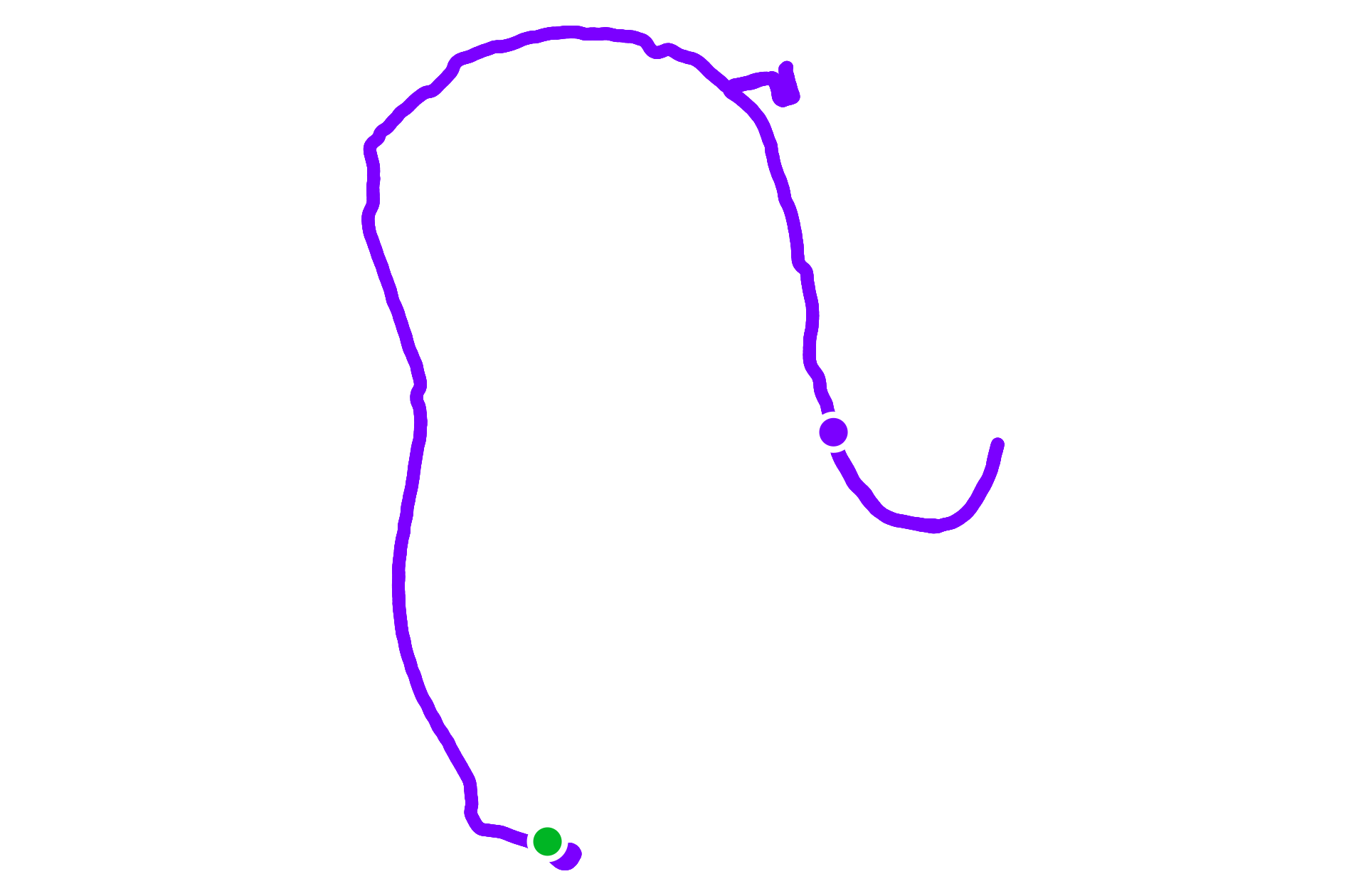 Run training