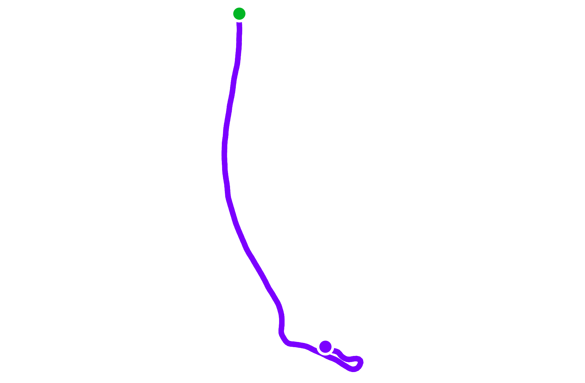 Run training
