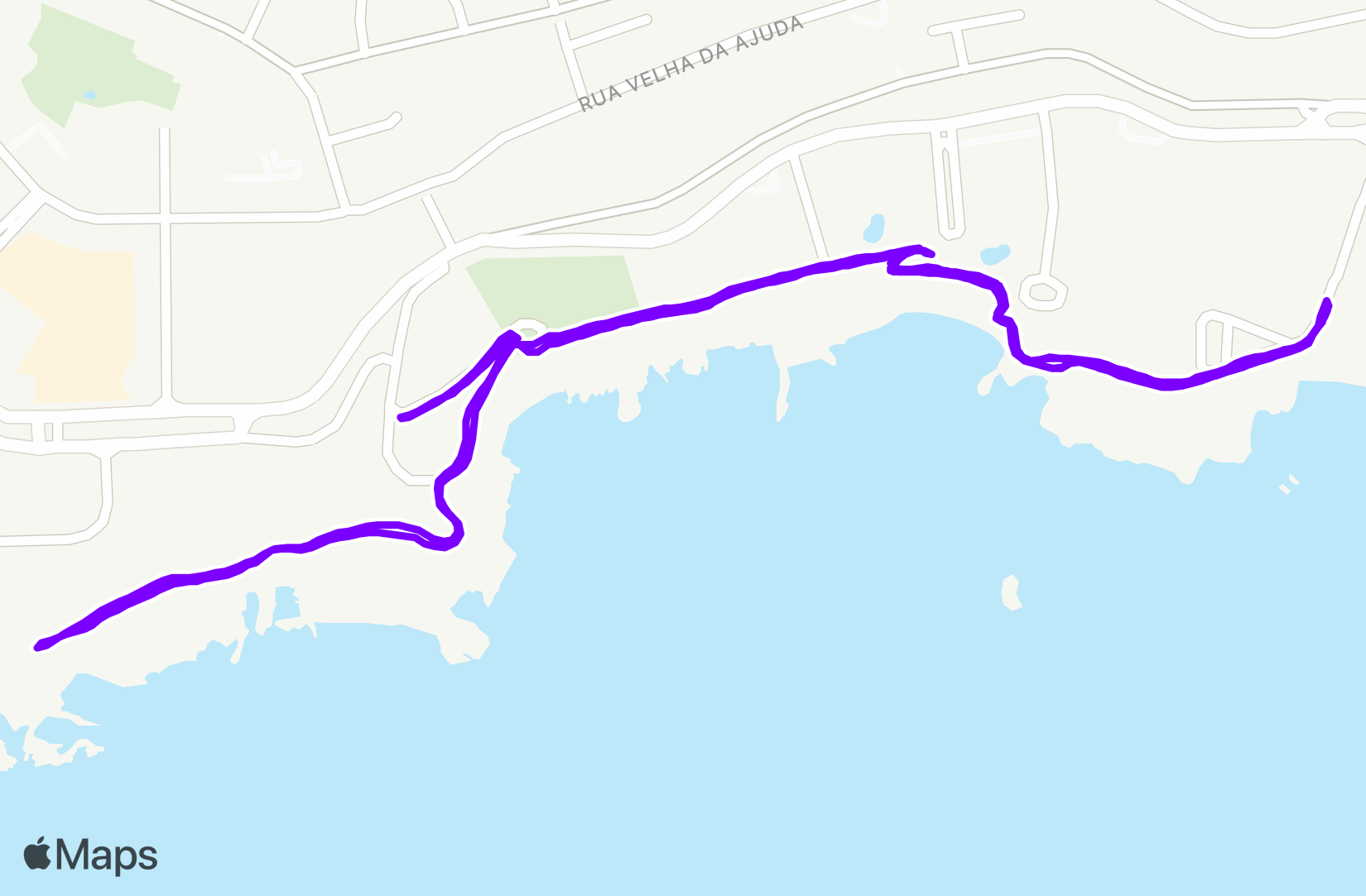 Run training