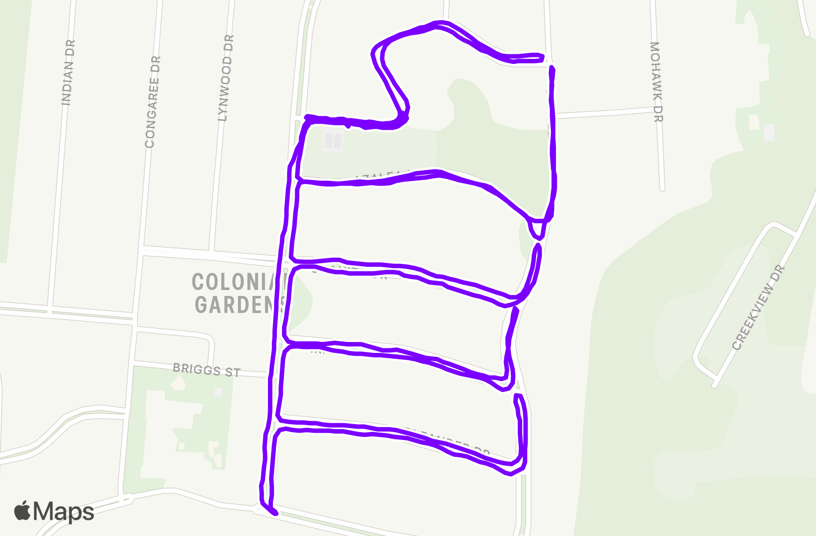 Run training