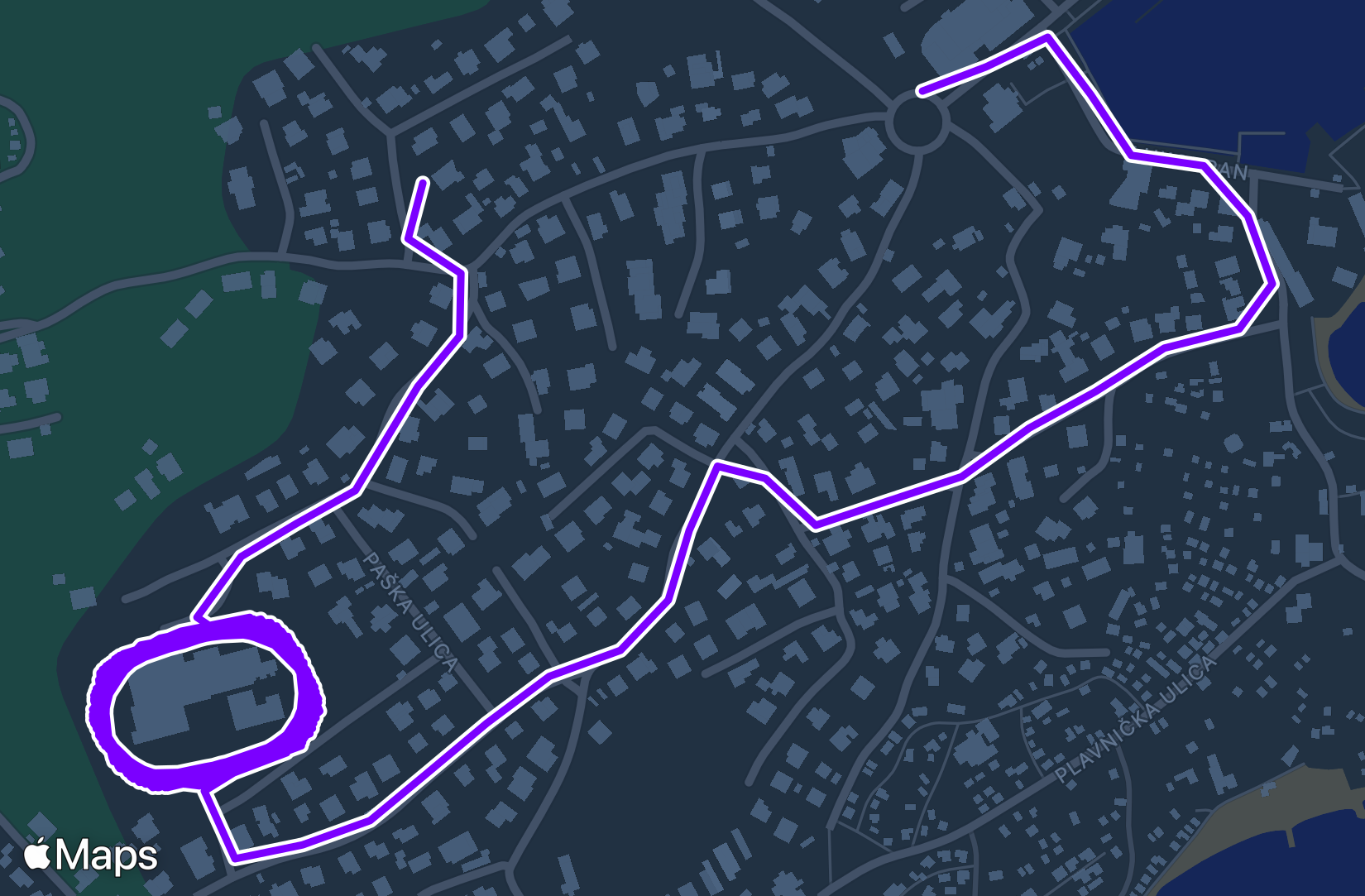 Run training