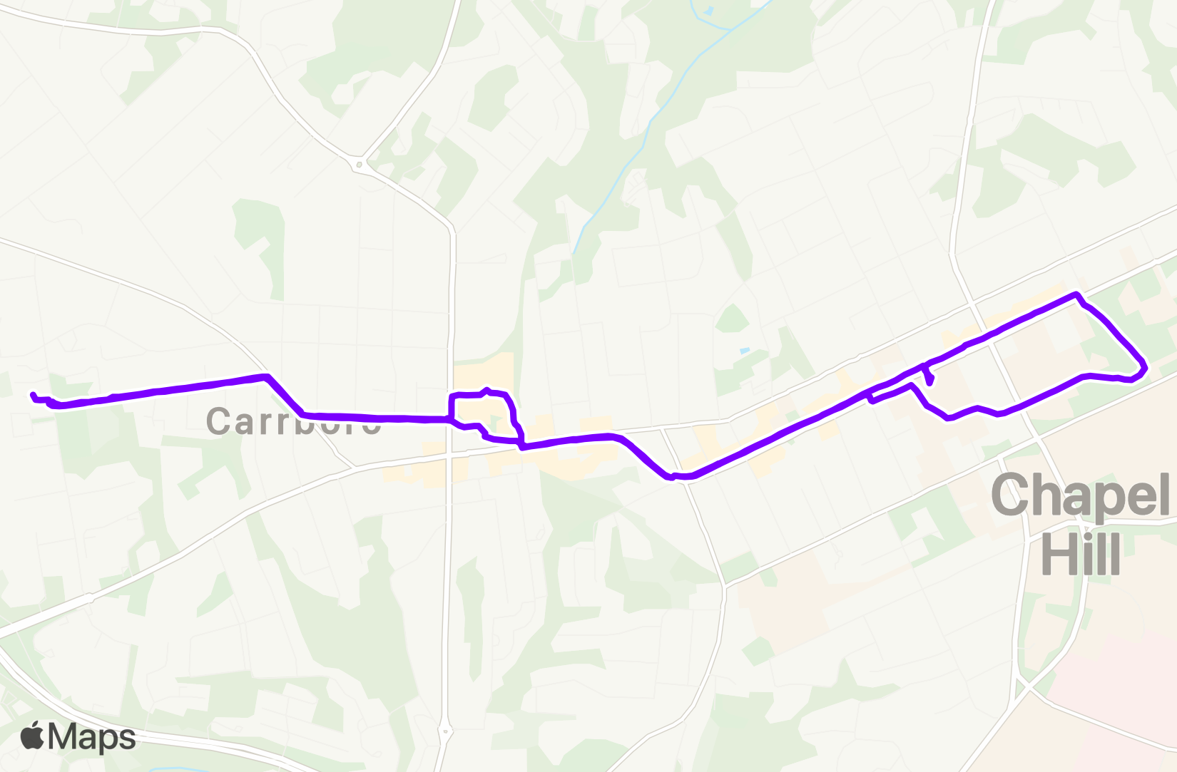 Walk training