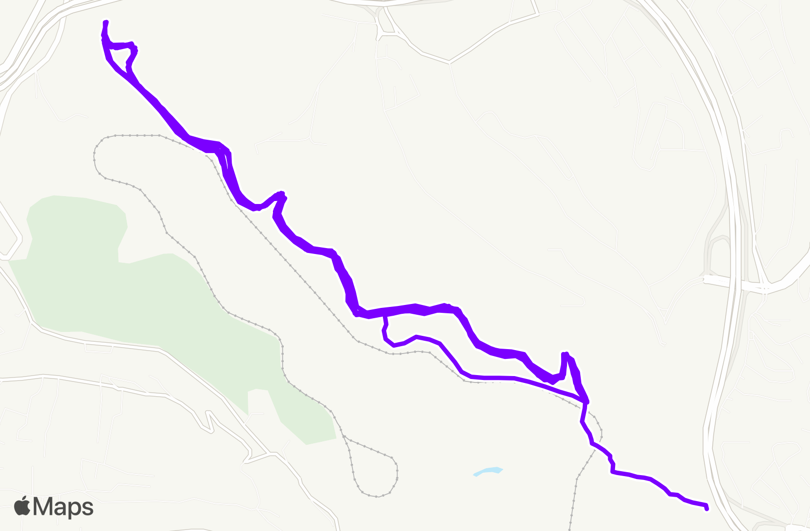 Run training
