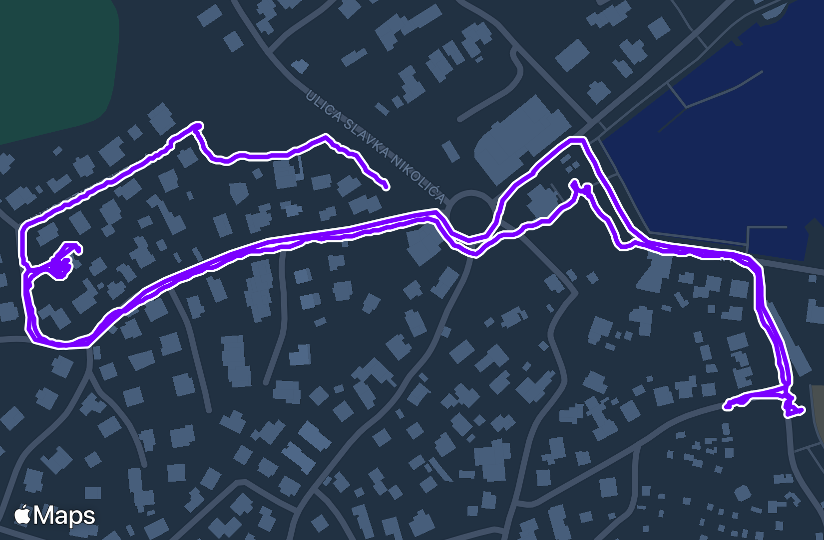 Walk training