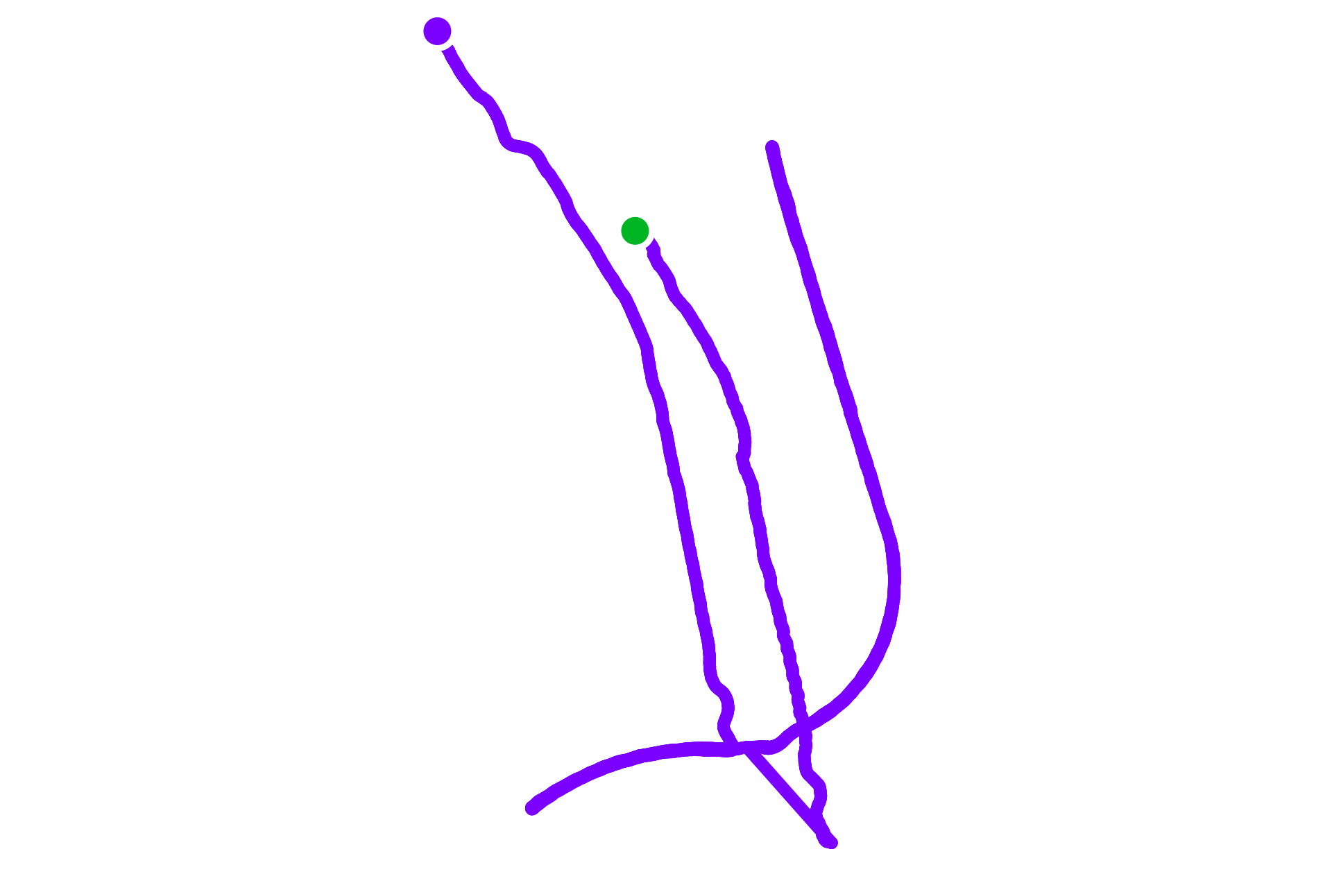 Run training