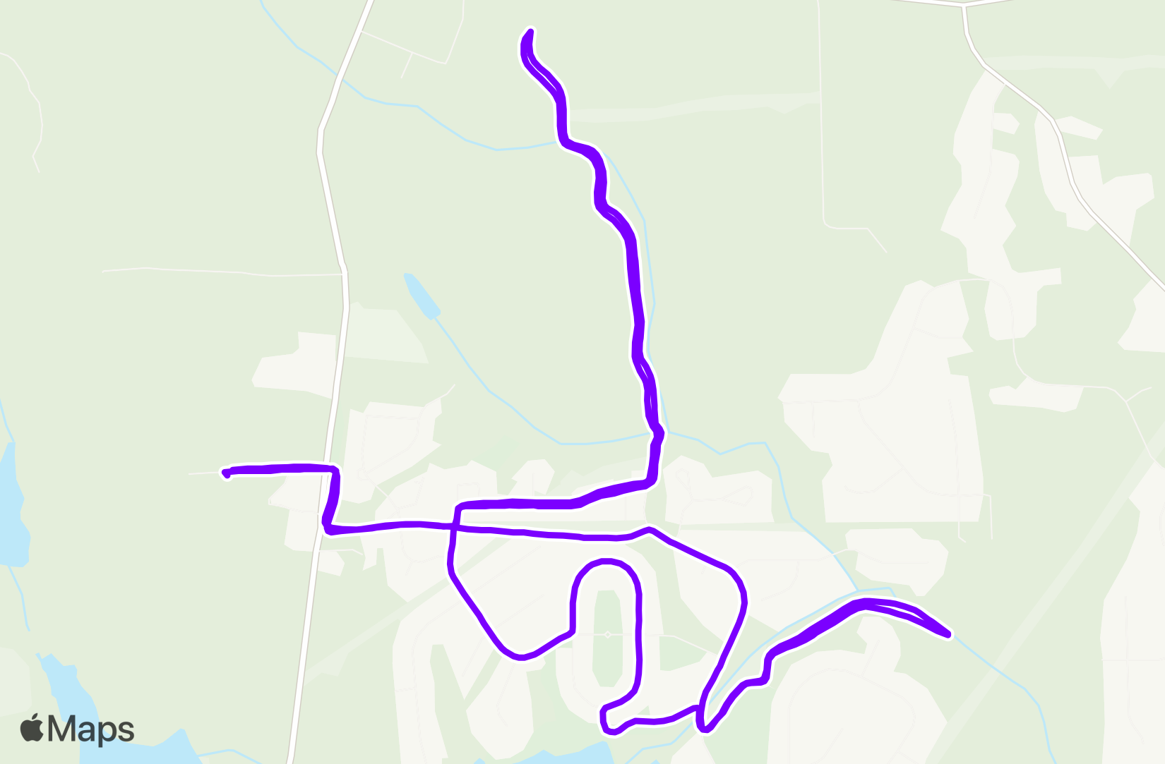 Run training