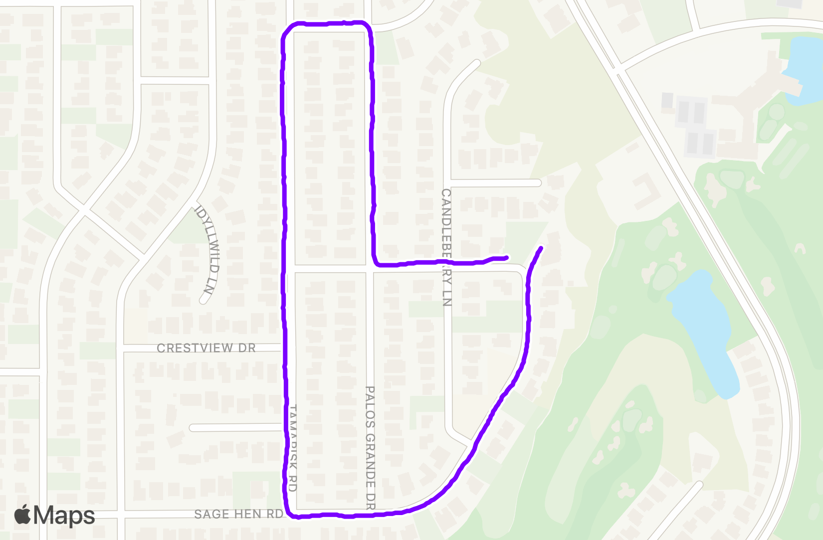 Walk training
