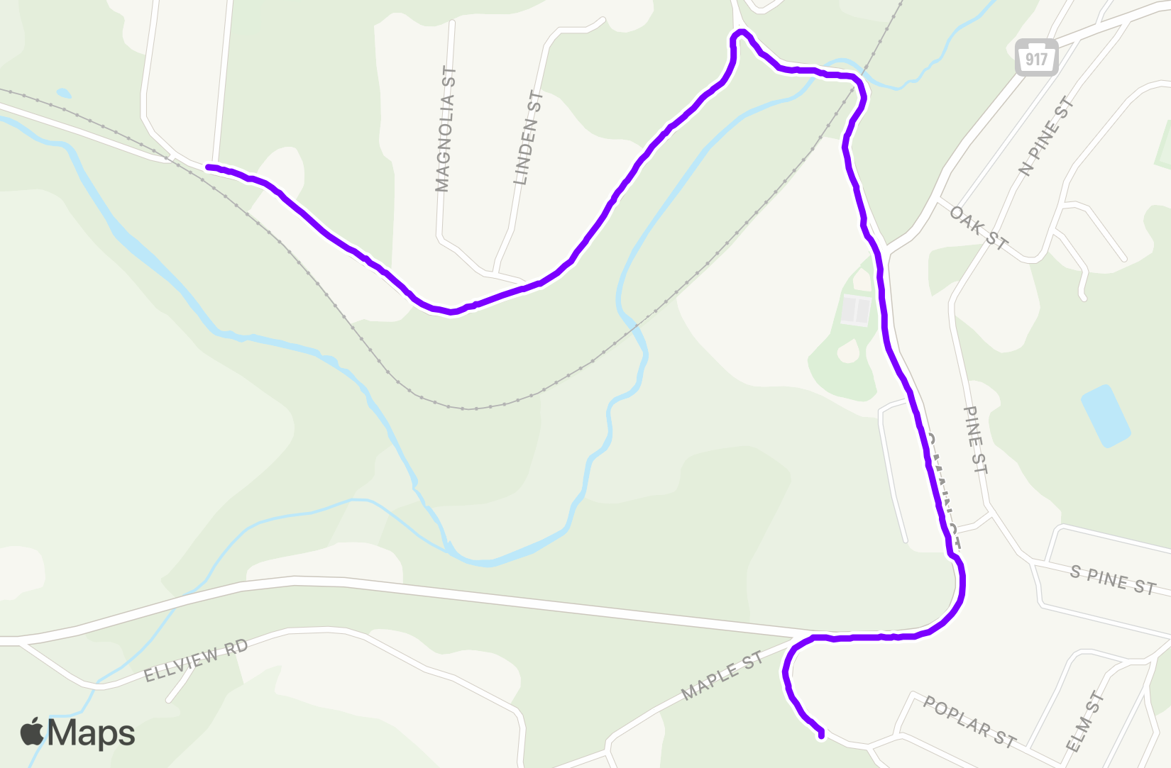 Walk training