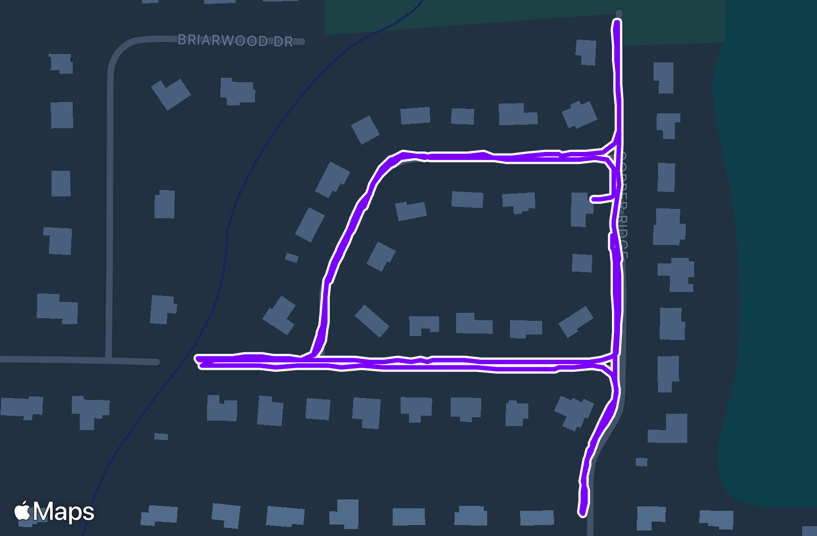 Walk training