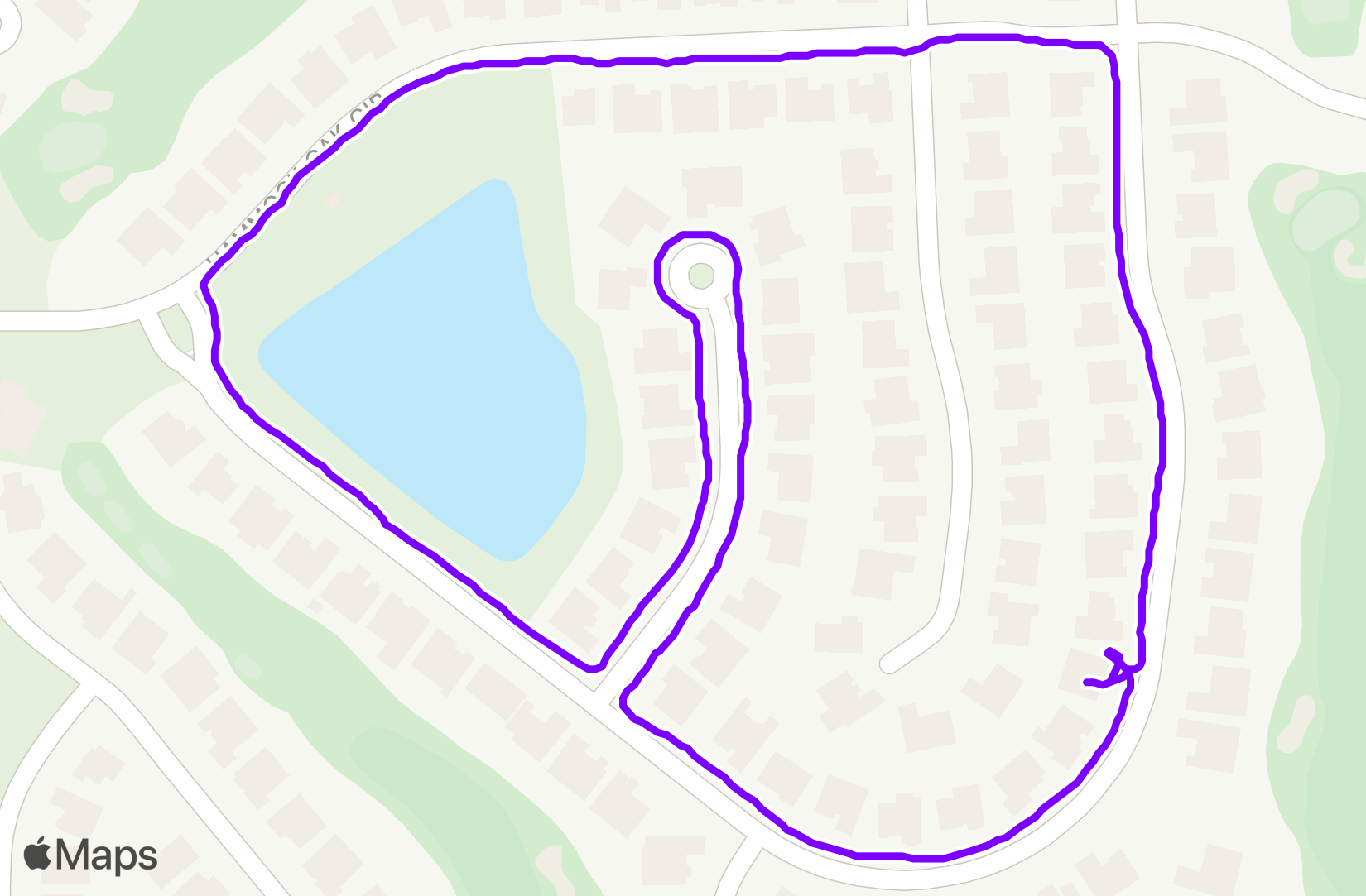 Walk training