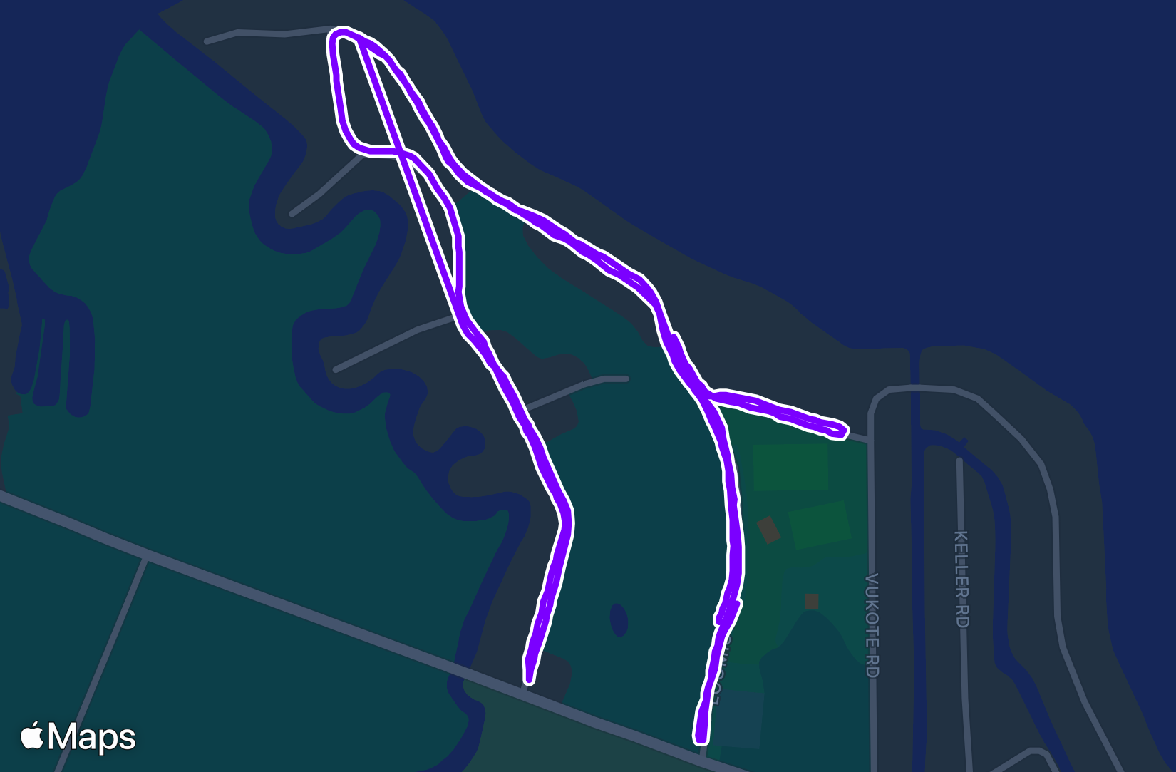 Run training