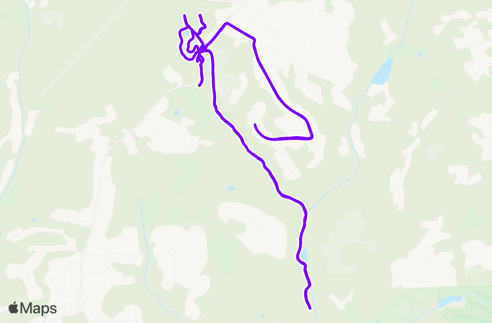 Run training