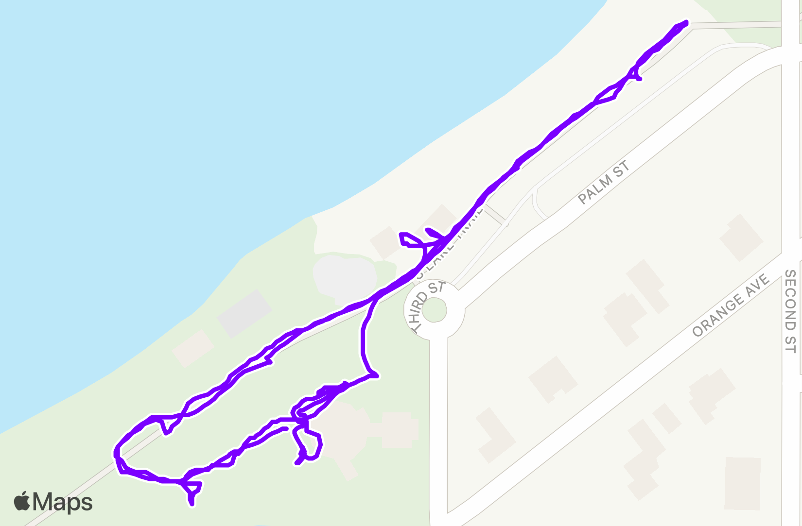Walk training