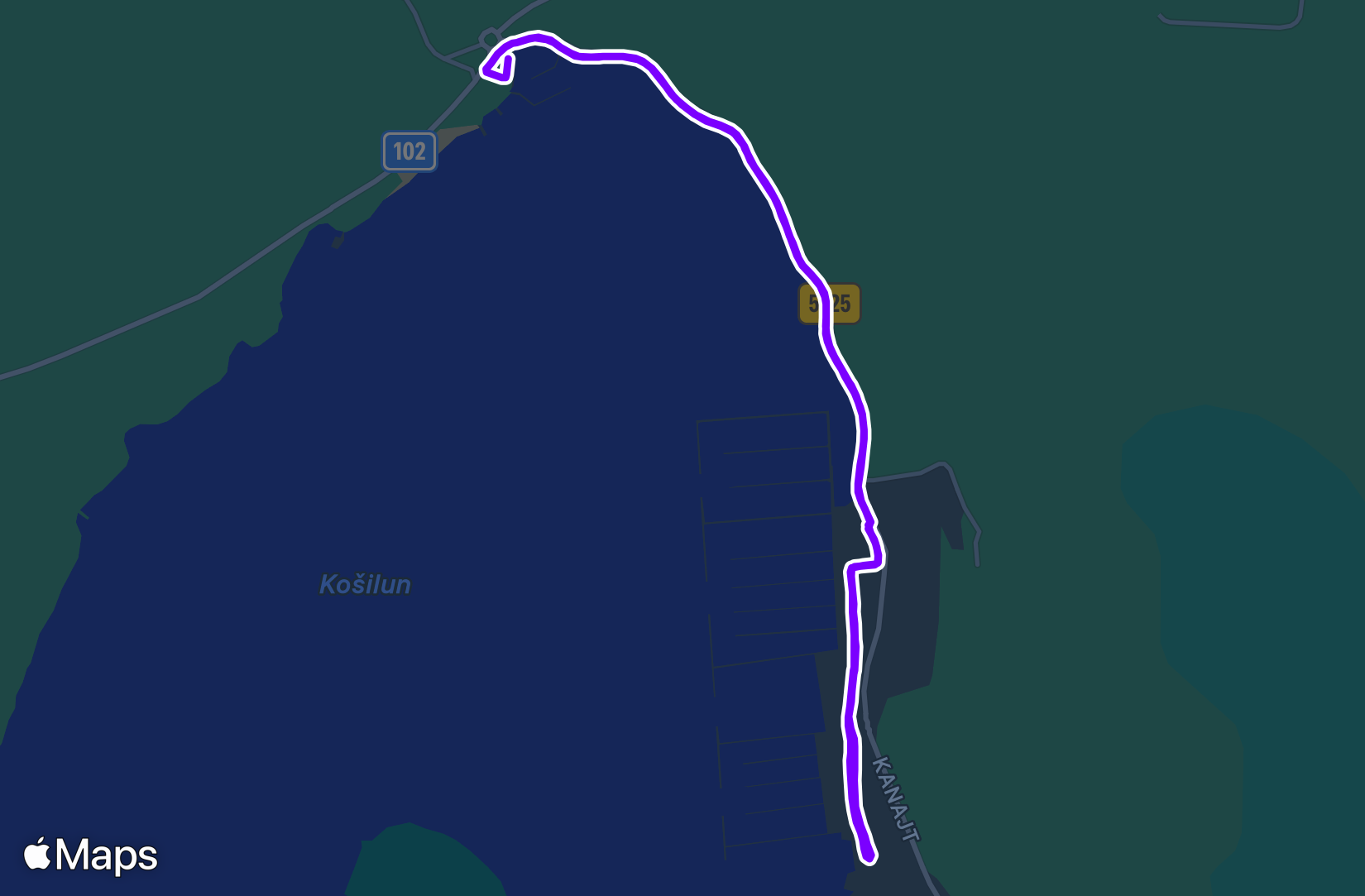 Run training