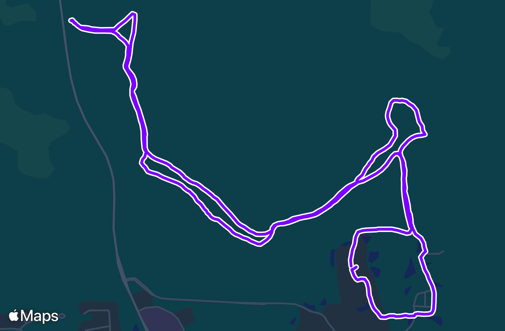 Run training