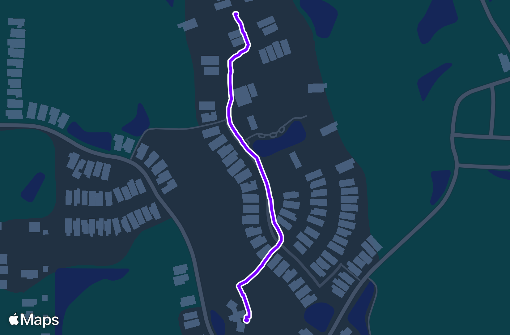 Run training