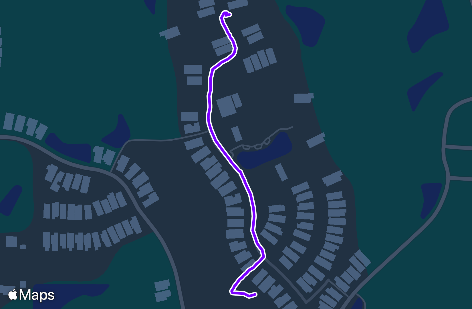 Run training
