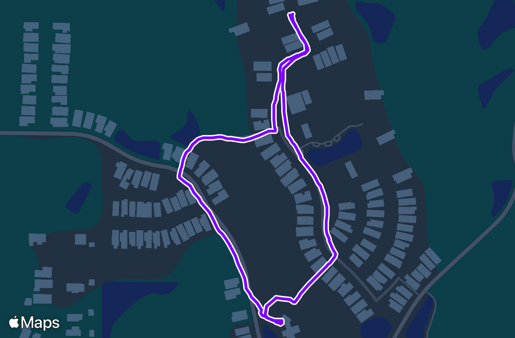 Run training