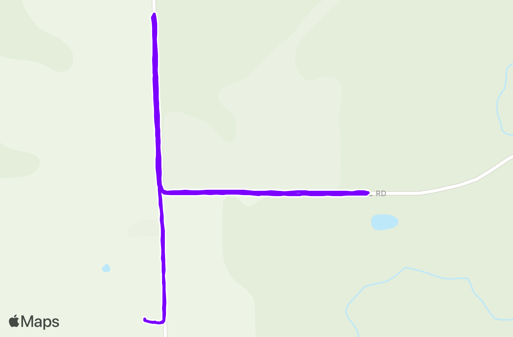 Walk training