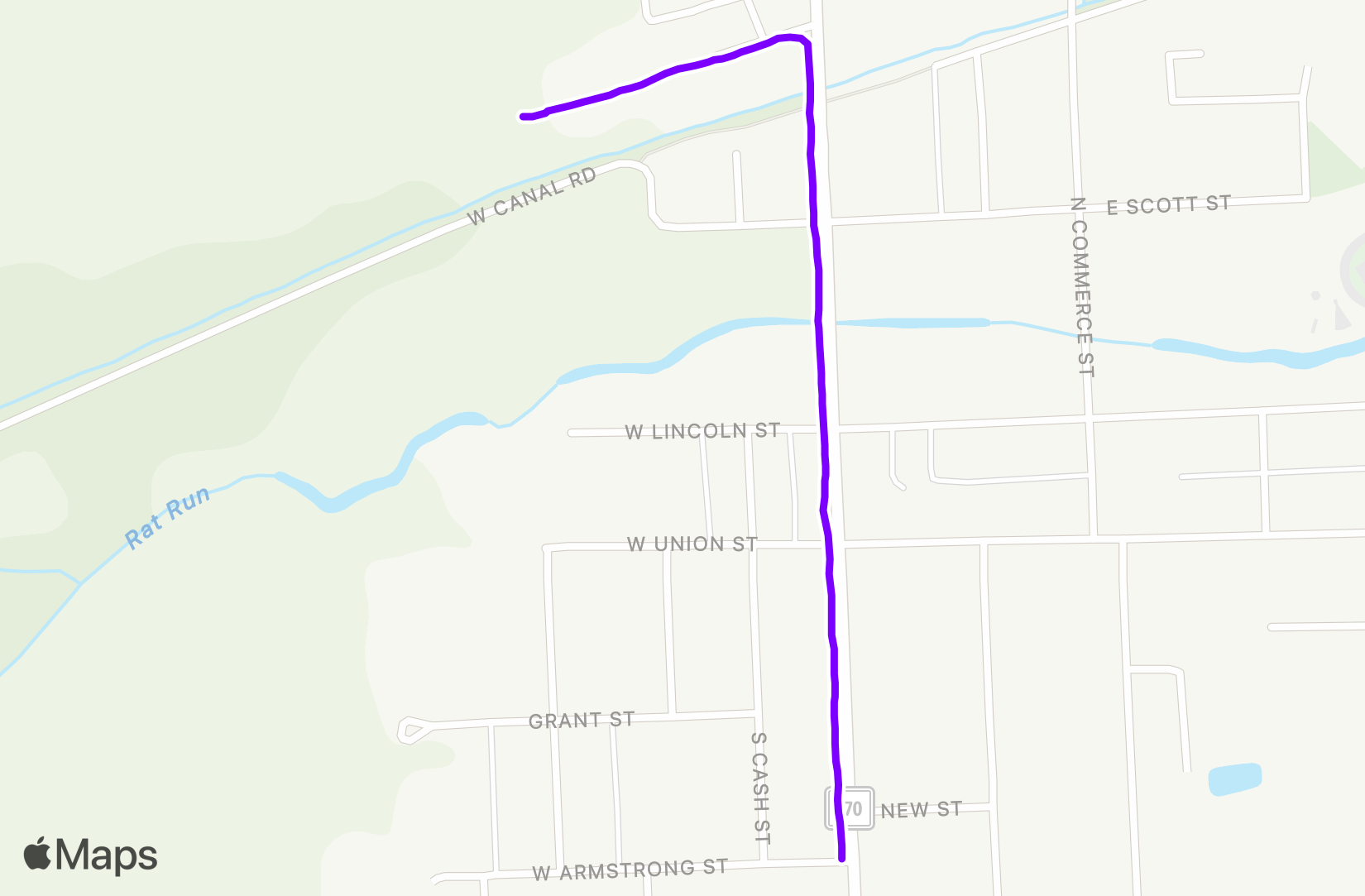 Walk training